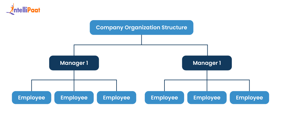 Hierarchical Data Model in DBMS