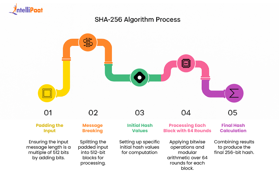 What Is The SHA 256 Algorithm How It Works What Is The SHA 256 Algorithm How It Works