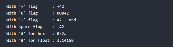 Example Using Flags in printf C