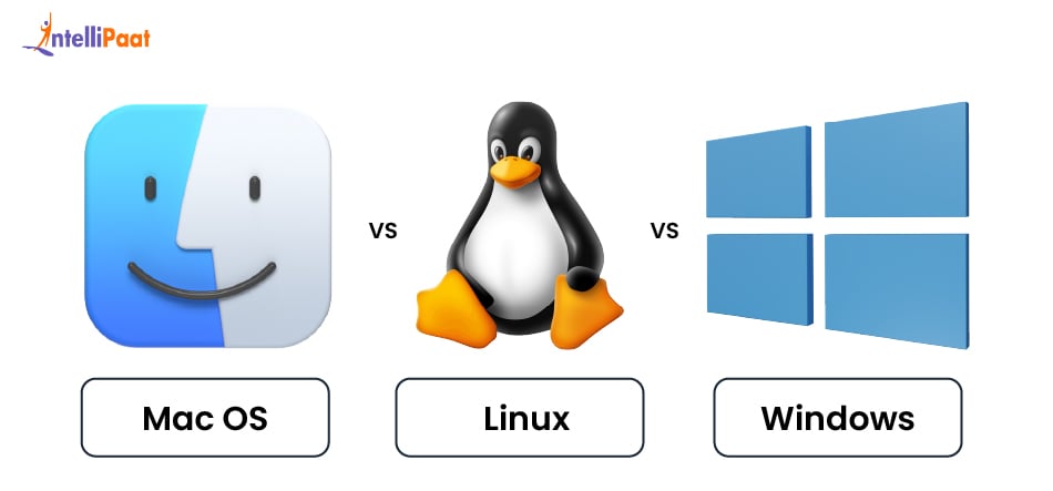 macOS vs Linux vs Windows