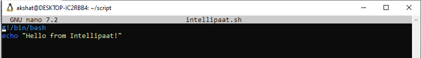 Make a Script Executable in Linux Using the chmod Command