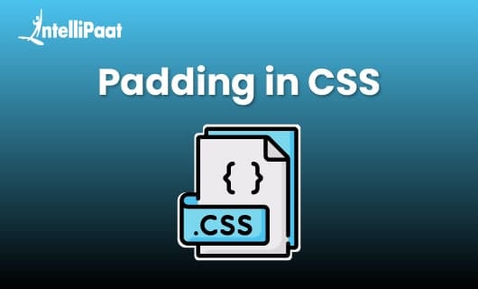 Padding in CSS Blog