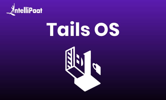 Tails OS 1