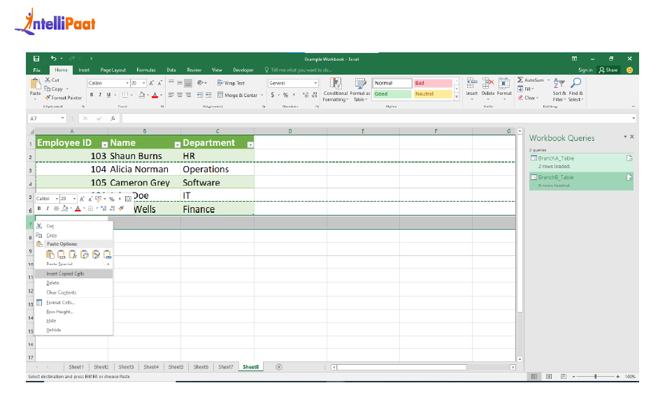 insert-multiple-rows-using-copy-paste