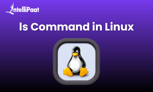 ls Command in Linux