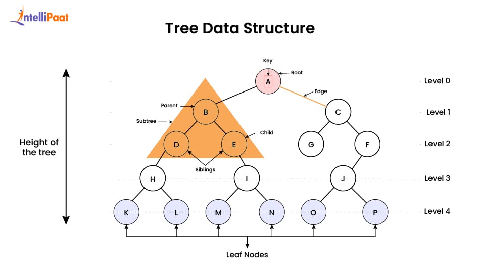 tree-data-structure