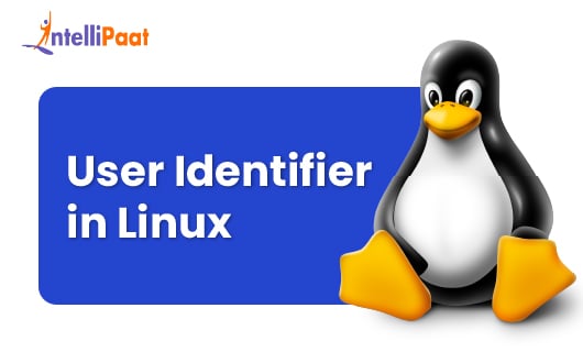 user identifier in linux blog