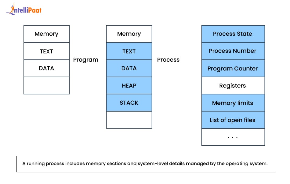 what is process