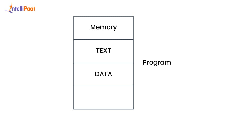 what-is-program