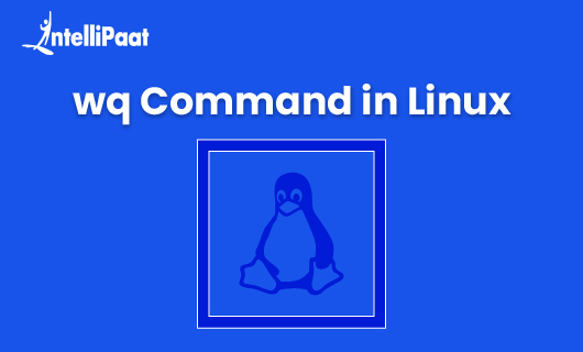 wq Command in Linux