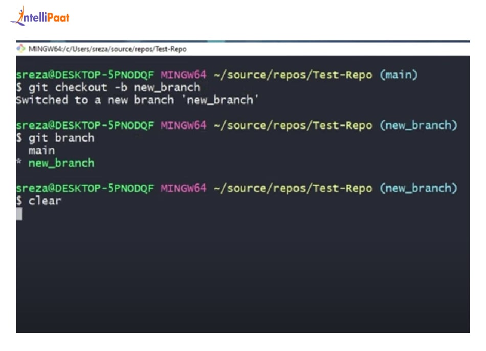 Create a New Branch