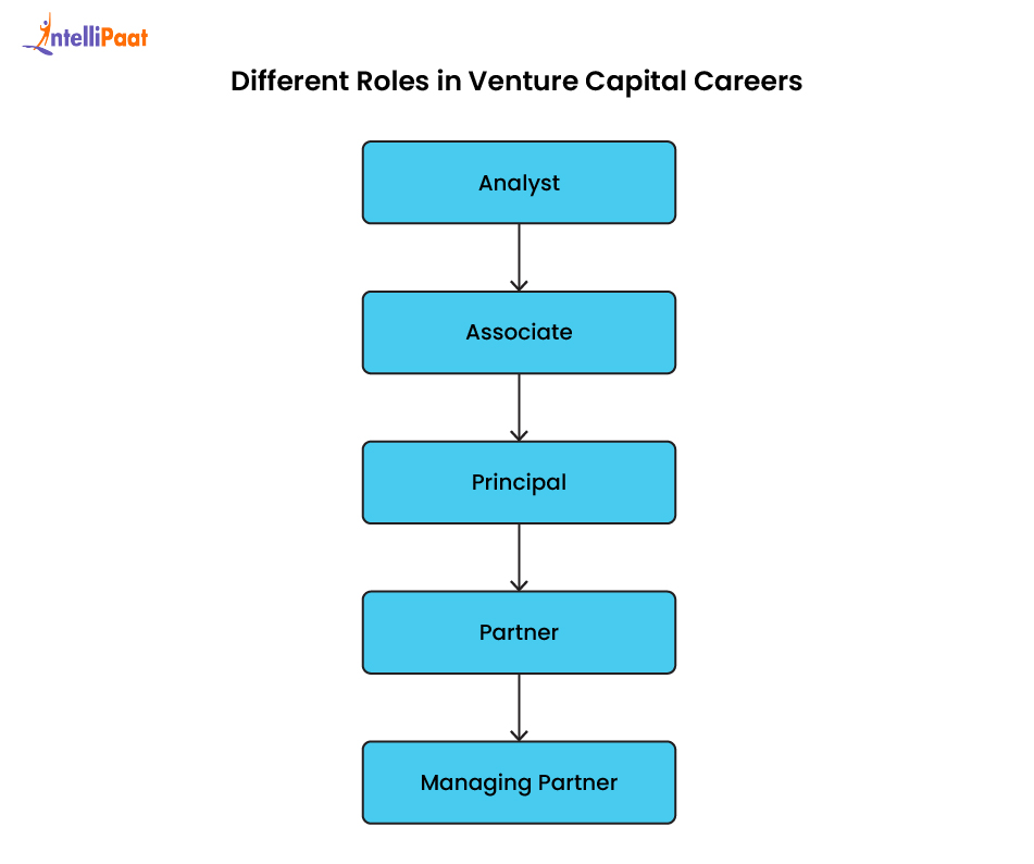 Different Roles in Venture Capital Careers