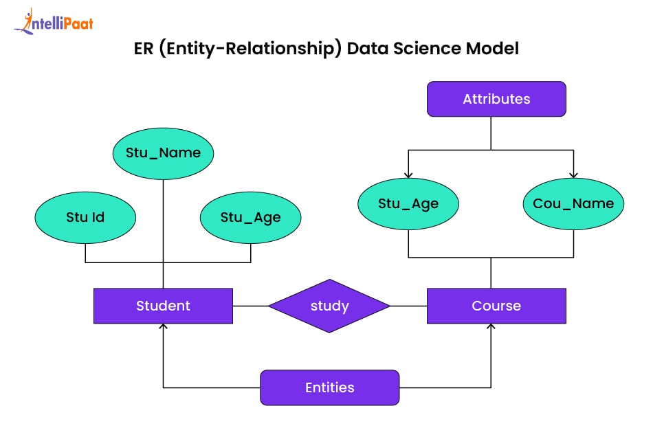 ER (Entity-Relationship) Data Science Model