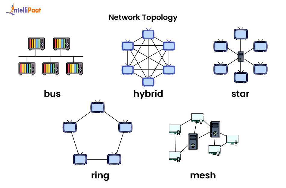 Network Topology