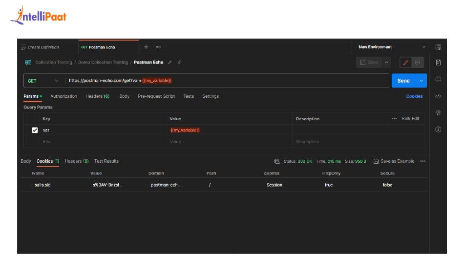 Postman EnvironmentCollection Variables
