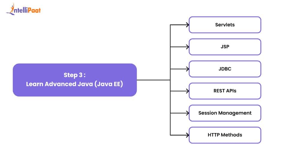 Step 4: Explore Popular Java Frameworks