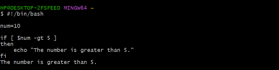 Bash if statement output