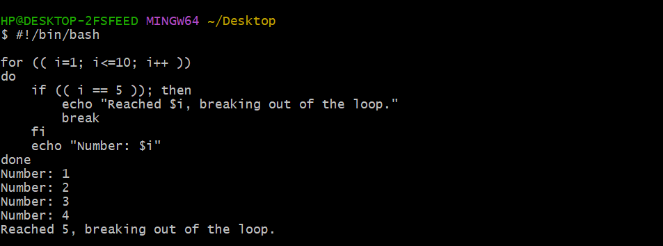 Break statement Bash loop control statement