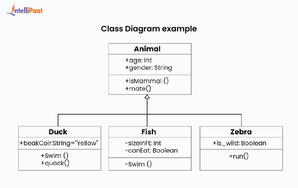 Class Diagram