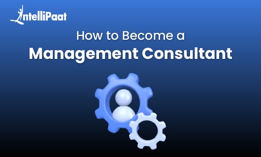 Management Consultant blog image