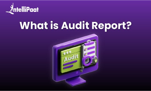 What is audit report blog image