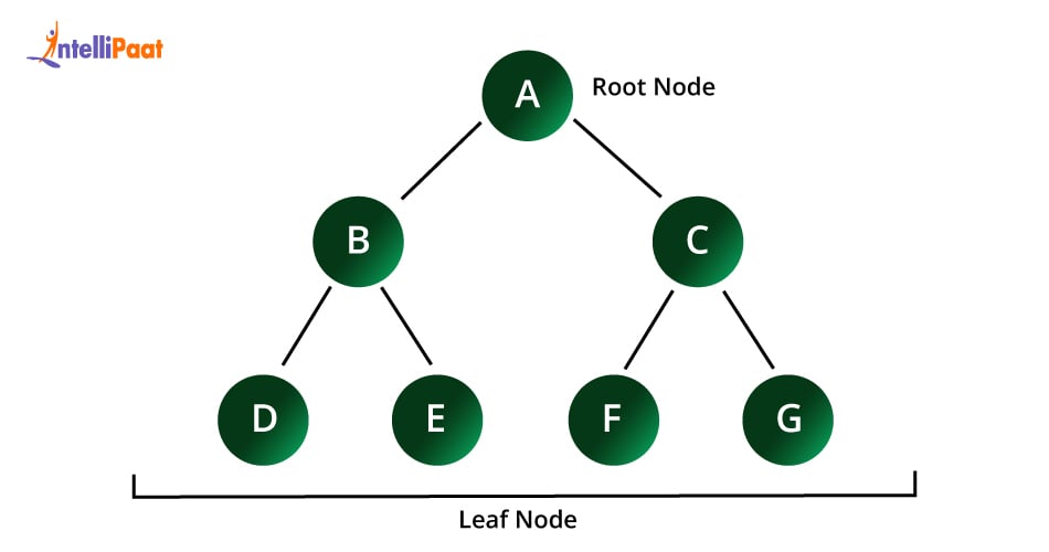 B+ Tree File Organization in DBMS