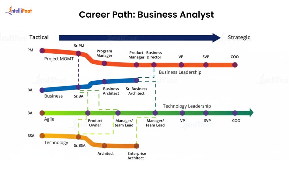 career path business analyst