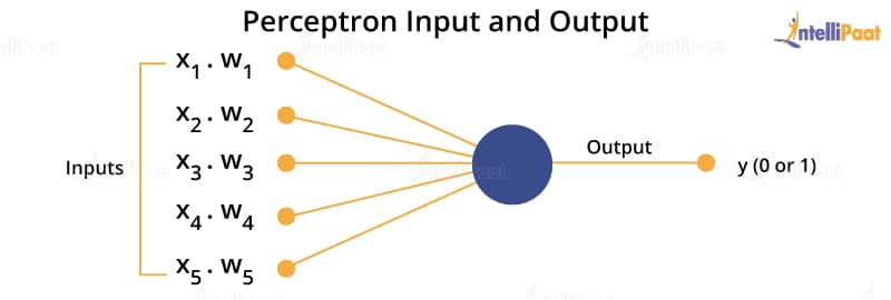 perceptron in Machine Learning